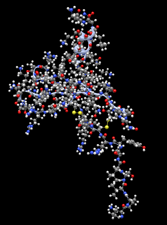 Optimized CXCL12 using Avogadro 2 Visualization